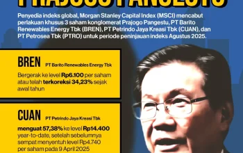 BEI MSCI Ungkap Pertemuan Strategis: 9 Emiten HSC Dapat Perlakuan Khusus