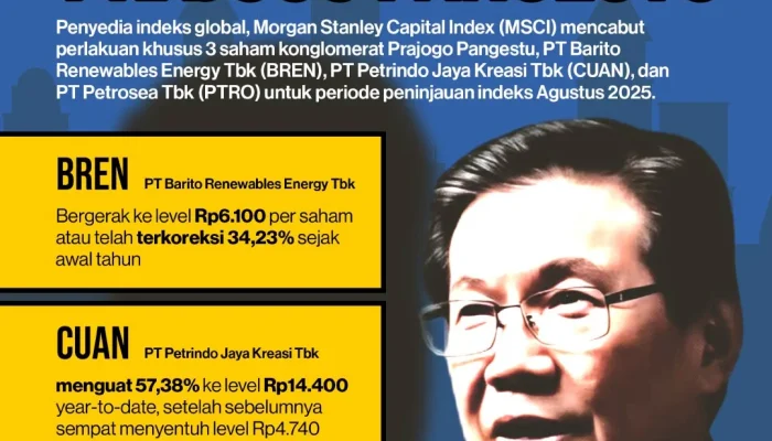 BEI MSCI Ungkap Pertemuan Strategis: 9 Emiten HSC Dapat Perlakuan Khusus