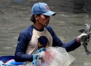 Bekasi Bergelora: Haji Massal, Kontroversi Bullying, Ikan Sapu-sapu, dan Proyek Energi Bersih Mengguncang Kota