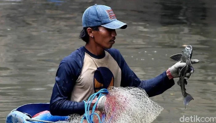Bekasi Bergelora: Haji Massal, Kontroversi Bullying, Ikan Sapu-sapu, dan Proyek Energi Bersih Mengguncang Kota