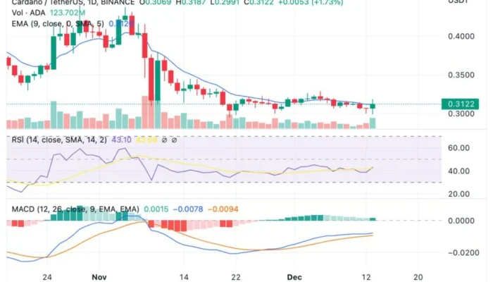 CoinMarketCap Jadi Sorotan Utama: Listing Pepeto, Prediksi Harga Cardano, dan Langkah Sberbank di Pasar Kripto