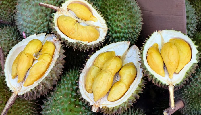 Durian RI Laku Rp42,5 Miliar: China Jadi Pasar Utama bagi 459 Ton Buah Eksotis