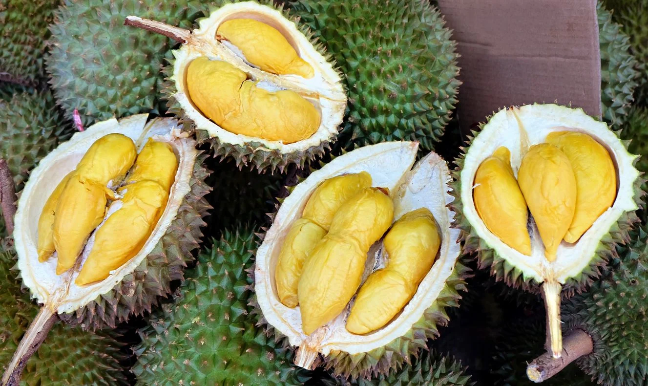 Durian RI Laku Rp42,5 Miliar: China Jadi Pasar Utama bagi 459 Ton Buah Eksotis