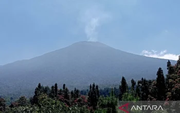 Gunung Slamet Memanas hingga 478°C, BPBD Banyumas Siaga Potensi Erupsi Besar