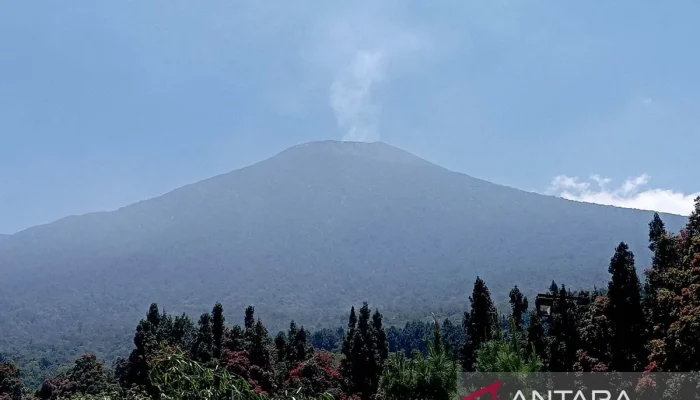 Gunung Slamet Memanas hingga 478°C, BPBD Banyumas Siaga Potensi Erupsi Besar