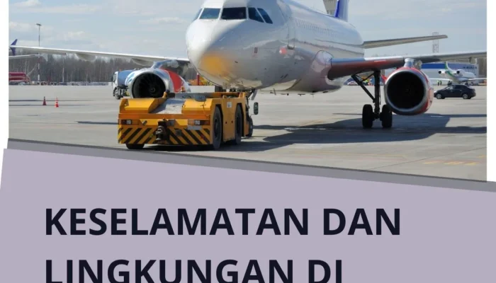 IndiGo di Bawah Sorotan: Kepemilikan, Kebijakan Grooming, dan Dampaknya pada Industri Penerbangan