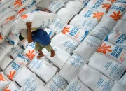 Indonesia Capai Swasembada Pangan: Impor Turun 5%, Stok Beras Melewati 5 Juta Ton!