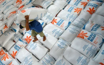 Indonesia Capai Swasembada Pangan: Impor Turun 5%, Stok Beras Melewati 5 Juta Ton!