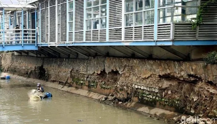 Jakarta Tangkap 763 Kg Ikan Sapu-Sapu di Timur, Total Hampir 7 Ton dalam Aksi Bersih Sungai