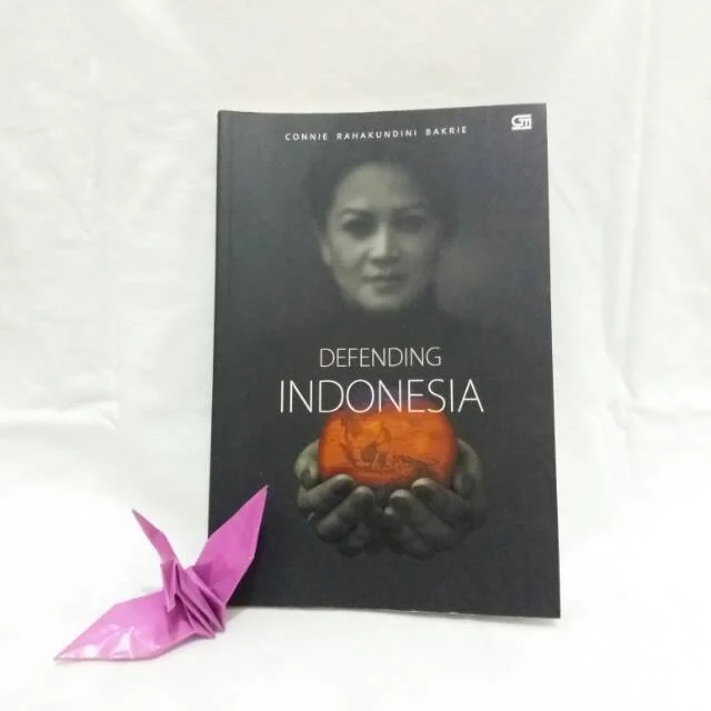 Kedaulatan Udara Indonesia Diuji: Connie Bakrie Kritik Kebijakan Blanket Overflight Militer Asing