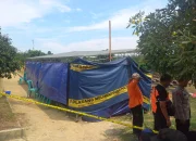 Misteri Kematian 'Till Death': Dari Tragedi Remaja di Ghazipur hingga Refleksi Senat Amerika