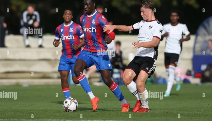 Misteri PL: Dari Sumur Minyak Norwegia hingga Kemenangan U18 Palace di Premier League Cup