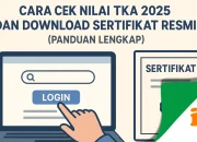 Panduan Lengkap Cara Cek Nilai TKA, Pajak Kendaraan, PIP, Bansos dan Fakta Hoax Netanyahu
