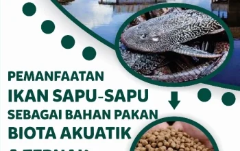 Pemkot Jaksel Rencanakan Pemanfaatan Ikan Sapu‑Sapu sebagai Pakan Ternak, Kolaborasi Lintas Sektor Diresmikan