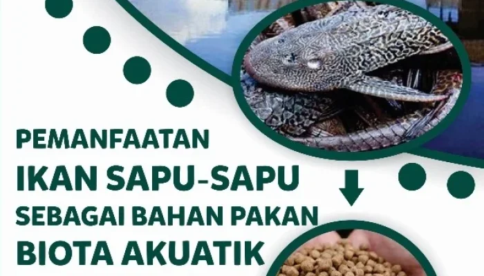 Pemkot Jaksel Rencanakan Pemanfaatan Ikan Sapu‑Sapu sebagai Pakan Ternak, Kolaborasi Lintas Sektor Diresmikan