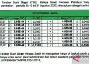 Rupiah Tertekan: Risiko Fiskal, Swap USDT, Rating Fitch, dan Harga Kelapa Sawit Mengguncang Ekonomi Indonesia