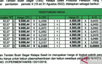 Rupiah Tertekan: Risiko Fiskal, Swap USDT, Rating Fitch, dan Harga Kelapa Sawit Mengguncang Ekonomi Indonesia