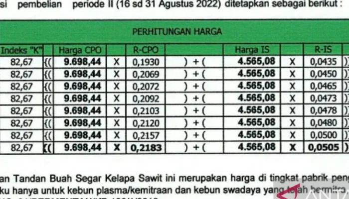 Rupiah Tertekan: Risiko Fiskal, Swap USDT, Rating Fitch, dan Harga Kelapa Sawit Mengguncang Ekonomi Indonesia