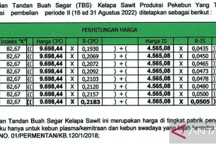 Rupiah Tertekan: Risiko Fiskal, Swap USDT, Rating Fitch, dan Harga Kelapa Sawit Mengguncang Ekonomi Indonesia