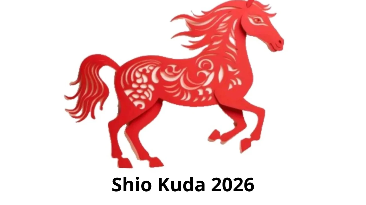 Shio Kuda Pimpin Keberuntungan: 3 Shio Paling Makmur Minggu 27 April‑3 Mei 2026