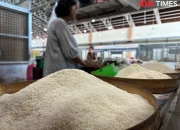 Swasembada Beras: Bukti Nyata Kinerja Presiden Prabowo, Dony Oskaria Ungkap Bulog Hingga Kekurangan Gudang!