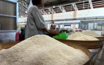 Swasembada Beras: Bukti Nyata Kinerja Presiden Prabowo, Dony Oskaria Ungkap Bulog Hingga Kekurangan Gudang!