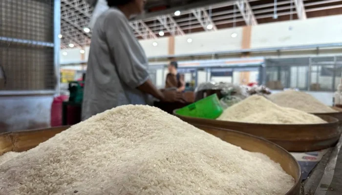 Swasembada Beras: Bukti Nyata Kinerja Presiden Prabowo, Dony Oskaria Ungkap Bulog Hingga Kekurangan Gudang!