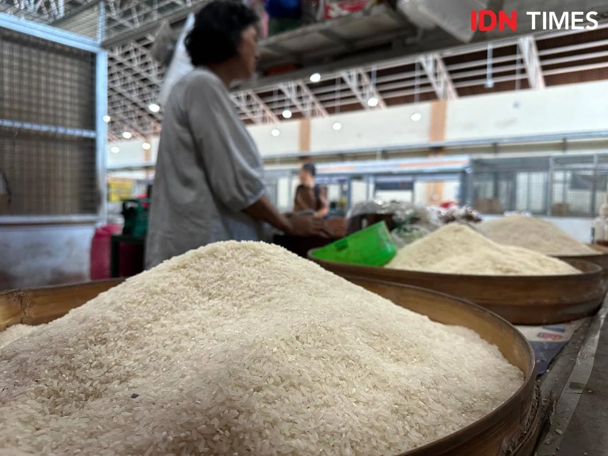 Swasembada Beras: Bukti Nyata Kinerja Presiden Prabowo, Dony Oskaria Ungkap Bulog Hingga Kekurangan Gudang!