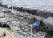 Tsunami 80 cm Guncang Pesisir Honshu: Gempa M 7,7 Jepang Picu Ancaman Bencana Besar