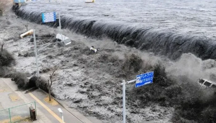 Tsunami 80 cm Guncang Pesisir Honshu: Gempa M 7,7 Jepang Picu Ancaman Bencana Besar