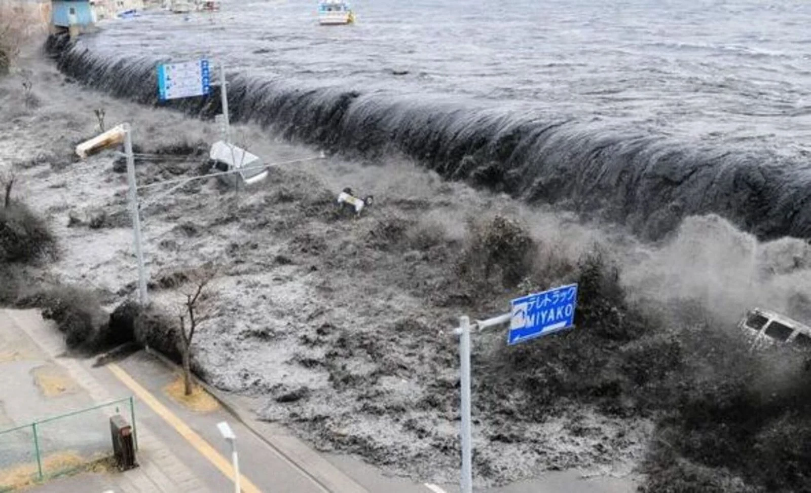 Tsunami 80 cm Guncang Pesisir Honshu: Gempa M 7,7 Jepang Picu Ancaman Bencana Besar