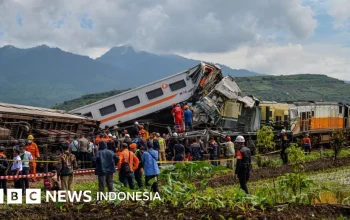 Video Viral Mengungkap Kontroversi Keselamatan Kereta Api dan Kejadian Lain di Dunia