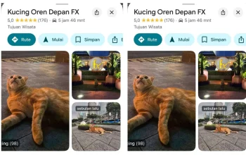 Viral! Kucing Oren Jjaemu Menggebrak Dunia Game dengan Brush Jjaemu – 7 Fakta Mengejutkan!