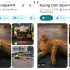 Viral! Kucing Oren Jjaemu Menggebrak Dunia Game dengan Brush Jjaemu – 7 Fakta Mengejutkan!