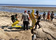Warga Sumenep Geger Temukan Benda Torpedo Kuning di Pantai Kangean, Tim Gegana Dikerahkan