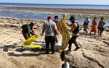 Warga Sumenep Geger Temukan Benda Torpedo Kuning di Pantai Kangean, Tim Gegana Dikerahkan