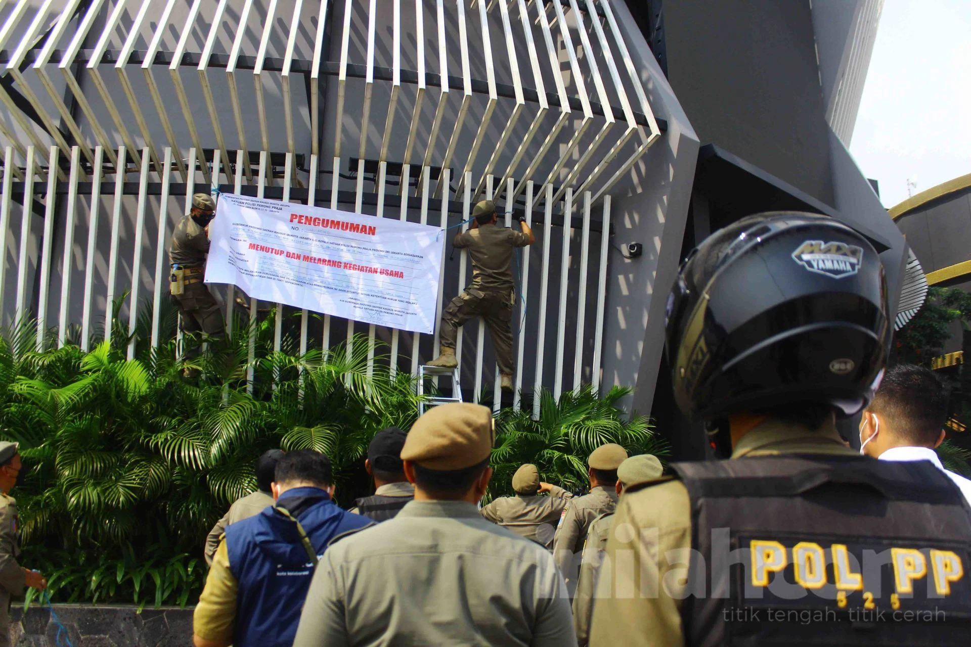 White Rabbit di PIK Ditutup Satpol PP: Izin Dicabut Permanen Usai Dugaan Narkoba