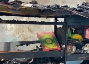 Bak Keajaiban! 3.700 Al-Quran Tidak Terbakar di Rumah Anisa Rahma, Kini Laris Dibeli Warganet