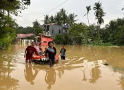 Banjir di Kendari: Korban Jiwa dan Kerusakan Infrastruktur