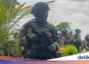 Berita Hari Ini: Olahraga, Kriminal, dan Ramalan Bintang