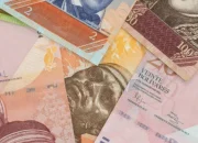 Bolivar dan Venezuela: Dua Wajah yang Berbeda