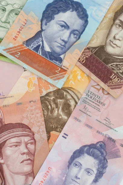 Bolivar dan Venezuela: Dua Wajah yang Berbeda