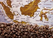 Budaya Kopi Yaman Mengalami Masa Kejayaan di AS, Sementara Kasus Kriminal Membayangi
