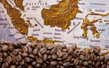 Budaya Kopi Yaman Mengalami Masa Kejayaan di AS, Sementara Kasus Kriminal Membayangi