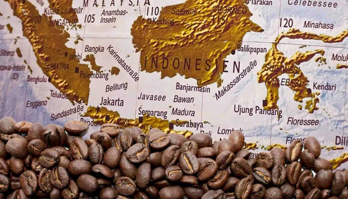 Budaya Kopi Yaman Mengalami Masa Kejayaan di AS, Sementara Kasus Kriminal Membayangi