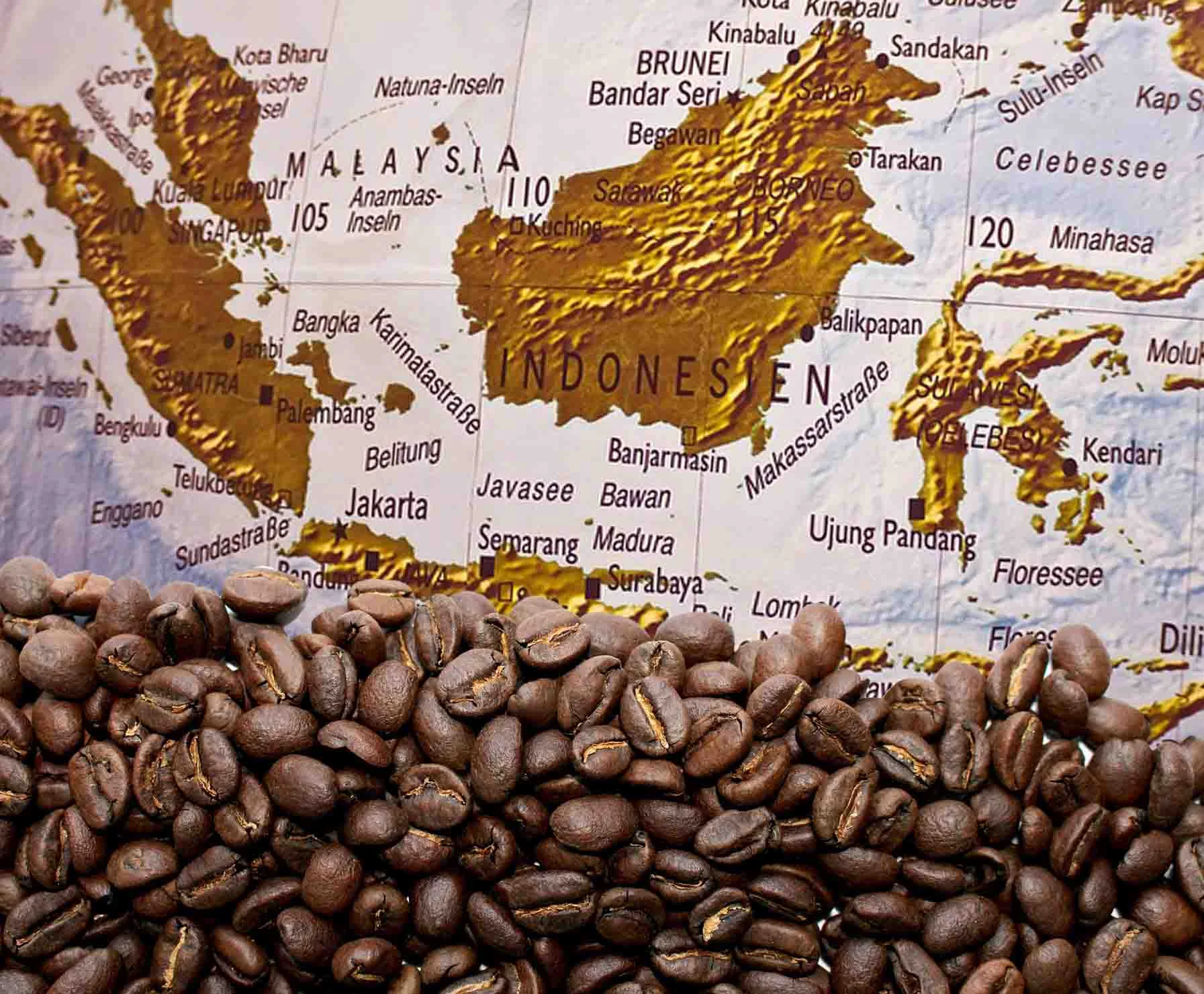 Budaya Kopi Yaman Mengalami Masa Kejayaan di AS, Sementara Kasus Kriminal Membayangi