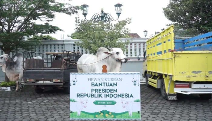 Daerah Istimewa Yogyakarta: Sapi Kurban Presiden, Pendidikan, dan Potensi Wisata