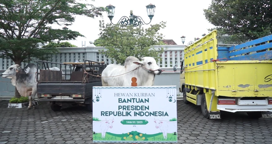 Daerah Istimewa Yogyakarta: Sapi Kurban Presiden, Pendidikan, dan Potensi Wisata