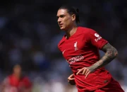 Darwin Núñez dan Dunia Sepakbola: Dari Liverpool hingga Liga Internasional