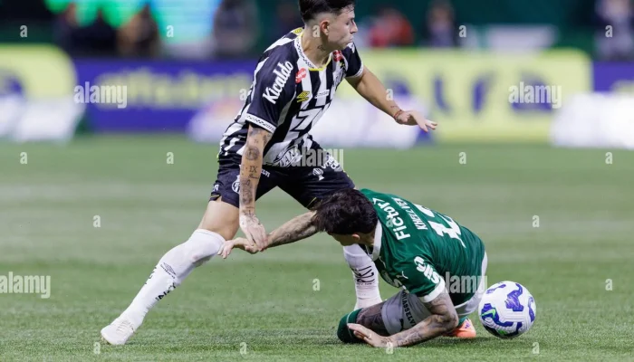 Derby klasik Palmeiras vs Santos Siapkan Taktik Baru di Allianz Arena